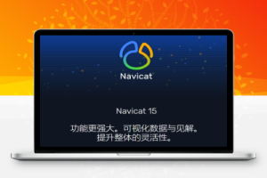 Navicat Premium15绿色中文破解版