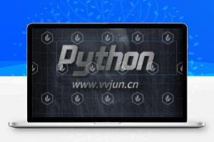 Python网络爬虫视频教程